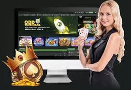 bll555 Game Bài Trực Tuyến